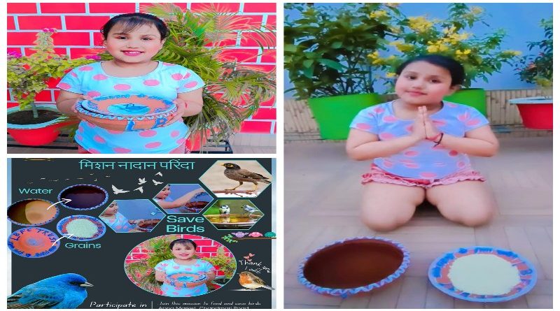 LBFC ट्रस्ट ने शुरू किया ‘मिशन नादान परिंदा’, पक्षियों के लिए की दाना पानी की व्यवस्था